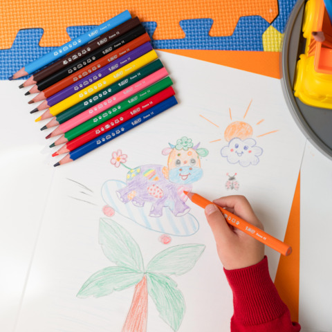 Matite colorate BIC Kids Evolution Triangle con fusto triangolare in conf. 12 pezzi assortiti - 82973511